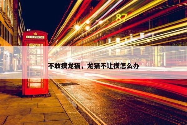 不敢摸龙猫，龙猫不让摸怎么办