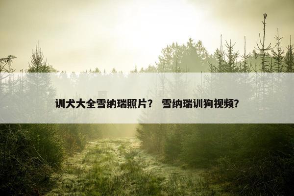 训犬大全雪纳瑞照片？ 雪纳瑞训狗视频？