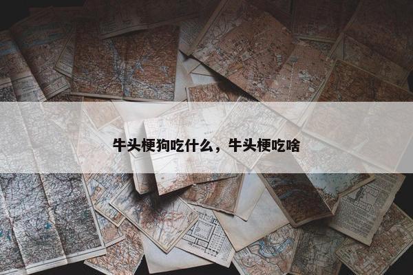 牛头梗狗吃什么，牛头梗吃啥