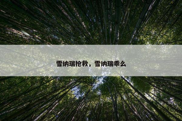 雪纳瑞抢救，雪纳瑞乖么