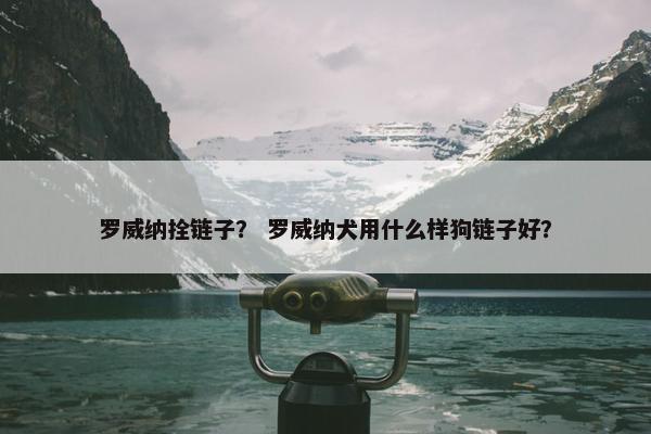 罗威纳拴链子？ 罗威纳犬用什么样狗链子好？