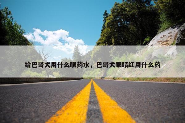 给巴哥犬用什么眼药水，巴哥犬眼睛红用什么药