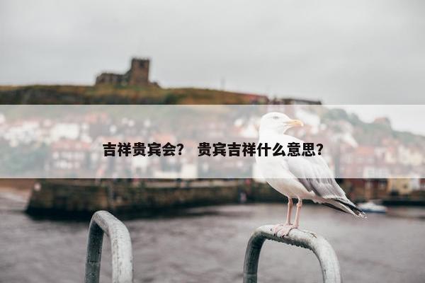 吉祥贵宾会？ 贵宾吉祥什么意思？