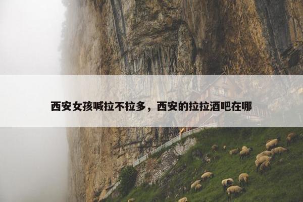 西安女孩喊拉不拉多，西安的拉拉酒吧在哪