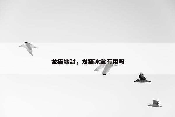 龙猫冰封，龙猫冰盒有用吗