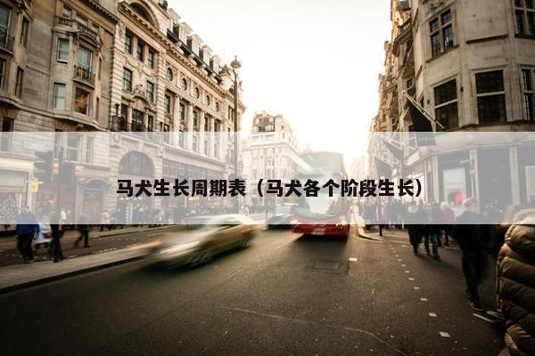 马犬生长周期表（马犬各个阶段生长）