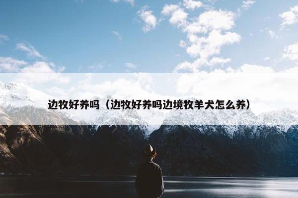 边牧好养吗（边牧好养吗边境牧羊犬怎么养）