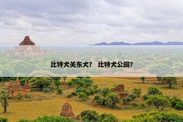 比特犬关东犬？ 比特犬公园？