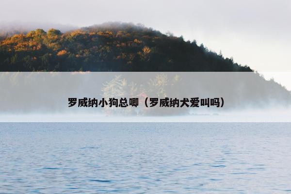 罗威纳小狗总唧（罗威纳犬爱叫吗）