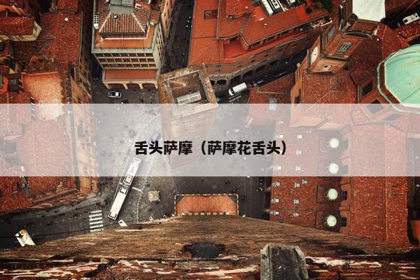 舌头萨摩（萨摩花舌头）