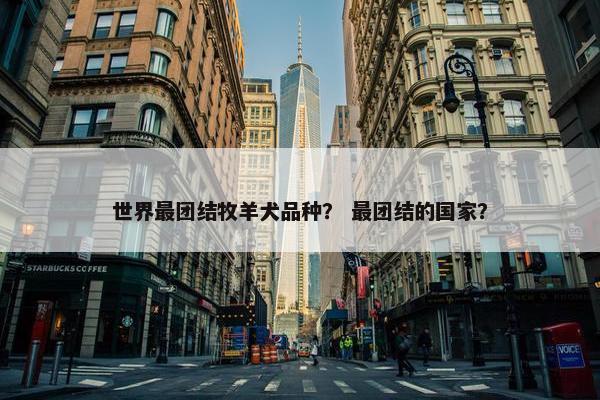 世界最团结牧羊犬品种？ 最团结的国家？
