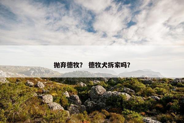抛弃德牧？ 德牧犬拆家吗？