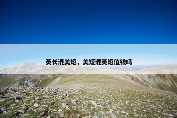 英长混美短，美短混英短值钱吗
