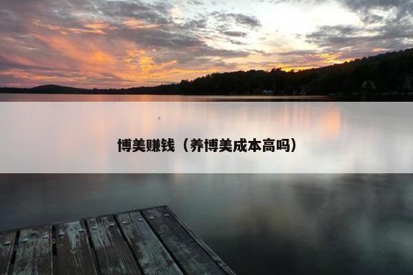 博美赚钱（养博美成本高吗）
