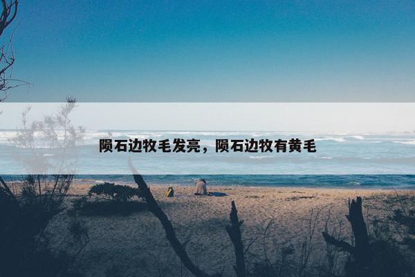 陨石边牧毛发亮，陨石边牧有黄毛