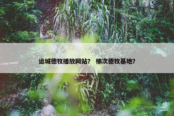 运城德牧播放网站？ 榆次德牧基地？