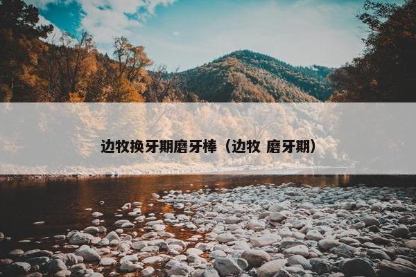 边牧换牙期磨牙棒（边牧 磨牙期）