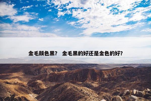 金毛颜色黑？ 金毛黑的好还是金色的好？