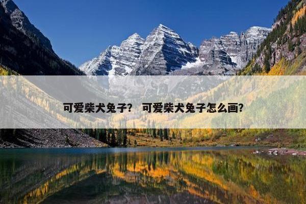 可爱柴犬兔子？ 可爱柴犬兔子怎么画？