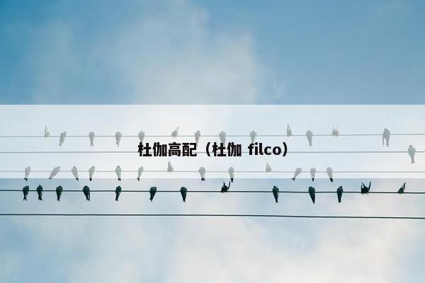 杜伽高配（杜伽 filco）