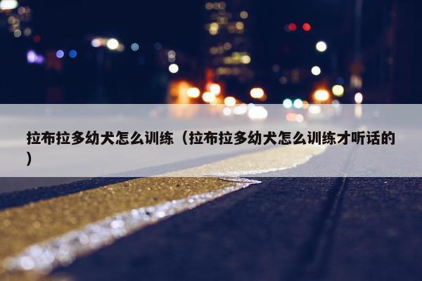 拉布拉多幼犬怎么训练（拉布拉多幼犬怎么训练才听话的）