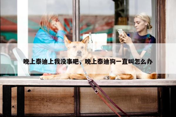 晚上泰迪上我没事吧，晚上泰迪狗一直叫怎么办