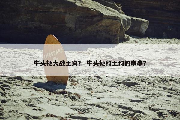 牛头梗大战土狗？ 牛头梗和土狗的串串？