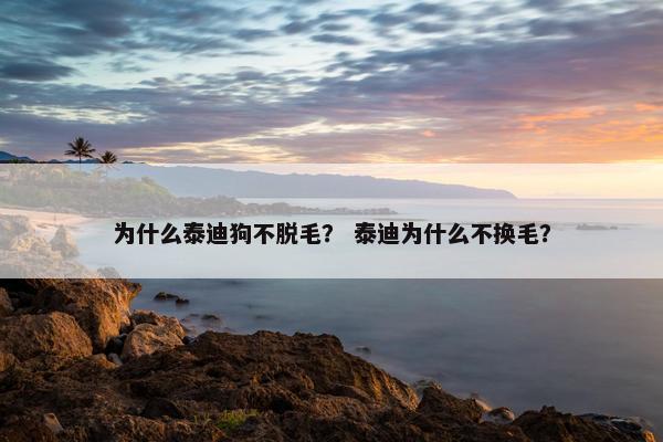 为什么泰迪狗不脱毛？ 泰迪为什么不换毛？