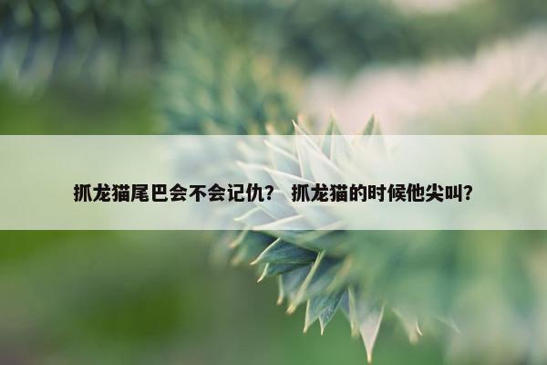抓龙猫尾巴会不会记仇？ 抓龙猫的时候他尖叫？