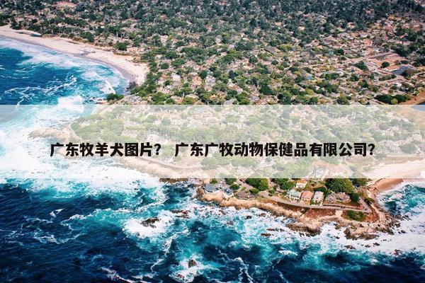 广东牧羊犬图片？ 广东广牧动物保健品有限公司？
