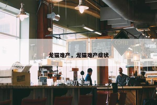 龙猫难产，龙猫难产症状