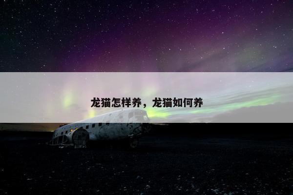 龙猫怎样养，龙猫如何养