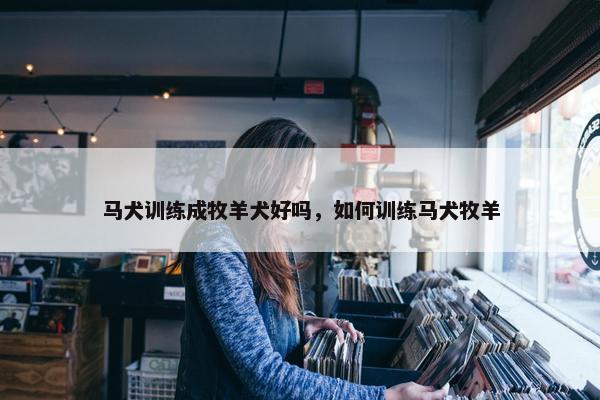 马犬训练成牧羊犬好吗，如何训练马犬牧羊