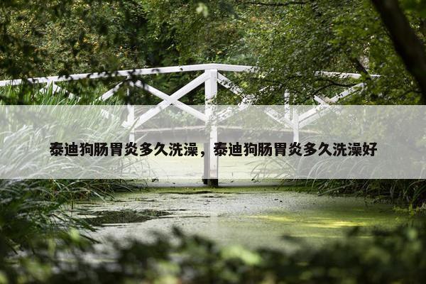 泰迪狗肠胃炎多久洗澡，泰迪狗肠胃炎多久洗澡好