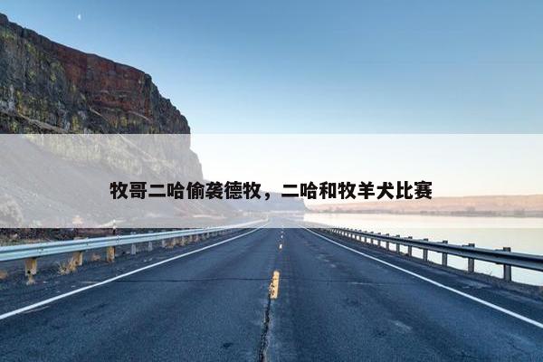 牧哥二哈偷袭德牧，二哈和牧羊犬比赛