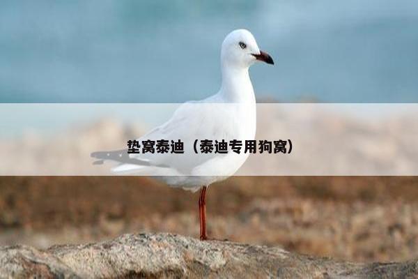 垫窝泰迪（泰迪专用狗窝）