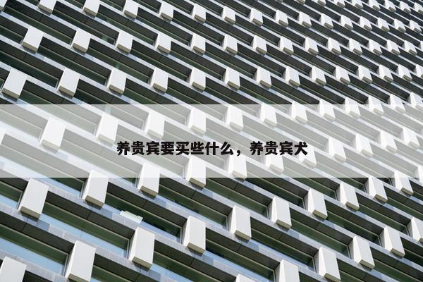 养贵宾要买些什么，养贵宾犬
