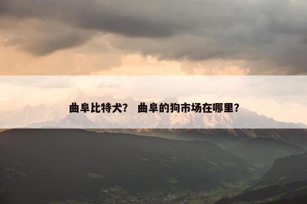 曲阜比特犬？ 曲阜的狗市场在哪里？