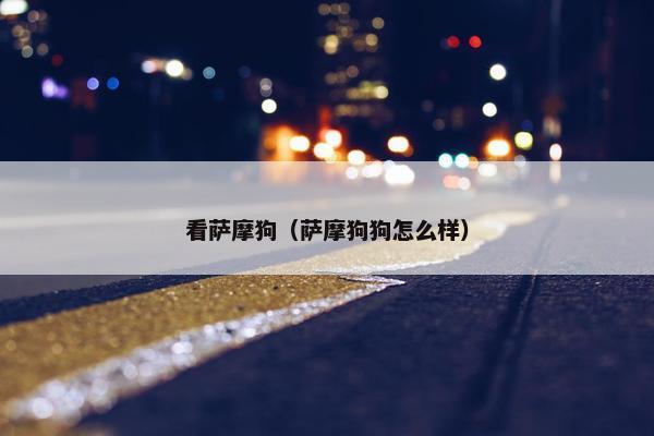 看萨摩狗（萨摩狗狗怎么样）