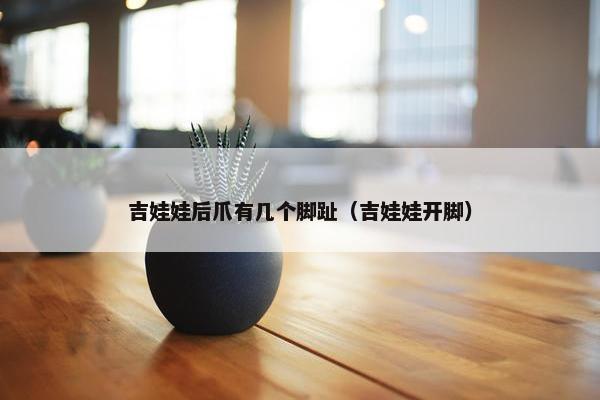 吉娃娃后爪有几个脚趾（吉娃娃开脚）