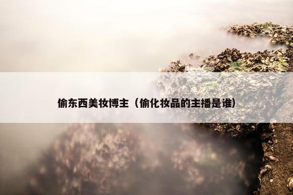 偷东西美妆博主（偷化妆品的主播是谁）