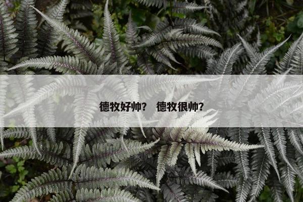 德牧好帅？ 德牧很帅？