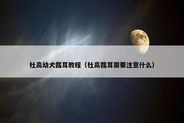 杜高幼犬裁耳教程（杜高裁耳需要注意什么）