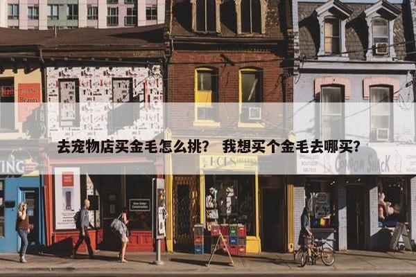 去宠物店买金毛怎么挑？ 我想买个金毛去哪买？
