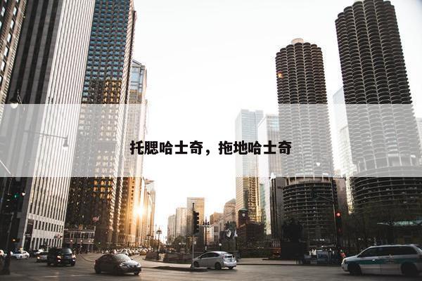 托腮哈士奇，拖地哈士奇