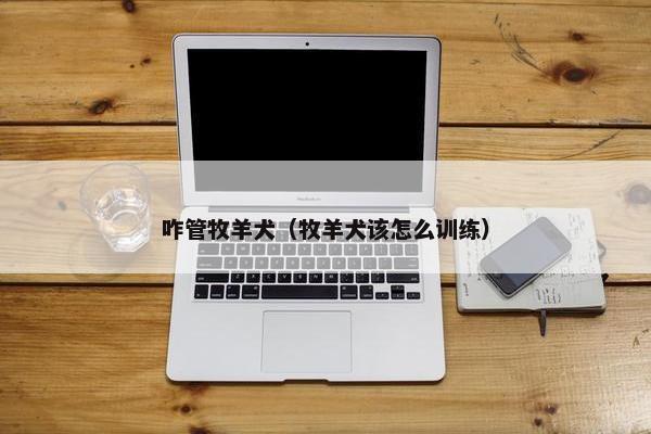 咋管牧羊犬（牧羊犬该怎么训练）
