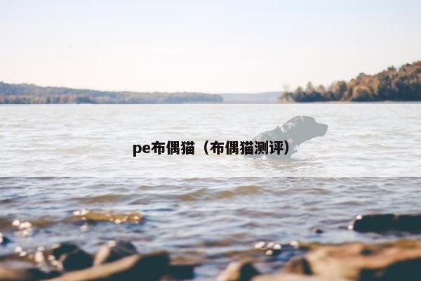 pe布偶猫（布偶猫测评）