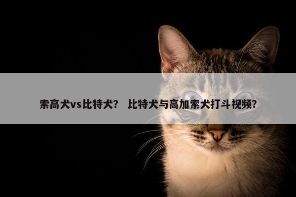 索高犬vs比特犬？ 比特犬与高加索犬打斗视频？