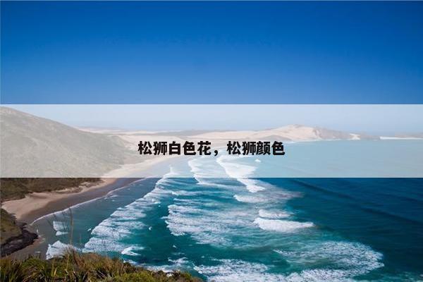 松狮白色花，松狮颜色