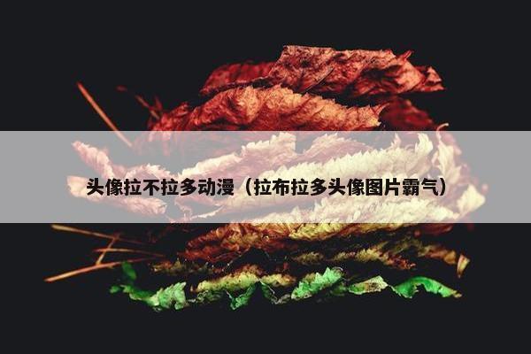 头像拉不拉多动漫（拉布拉多头像图片霸气）